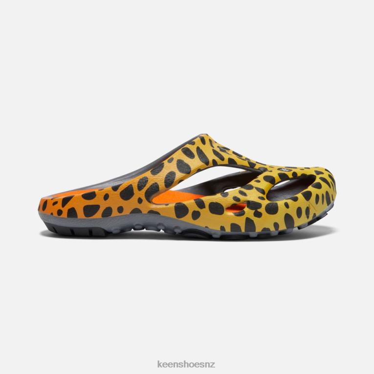 Keen Shanti Arts X2DDT340 THC Cheetah Rainbow